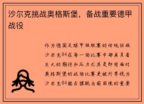 沙尔克挑战奥格斯堡,备战重要德甲战役 沙尔克挑战奥格斯堡,备战重要德甲战役